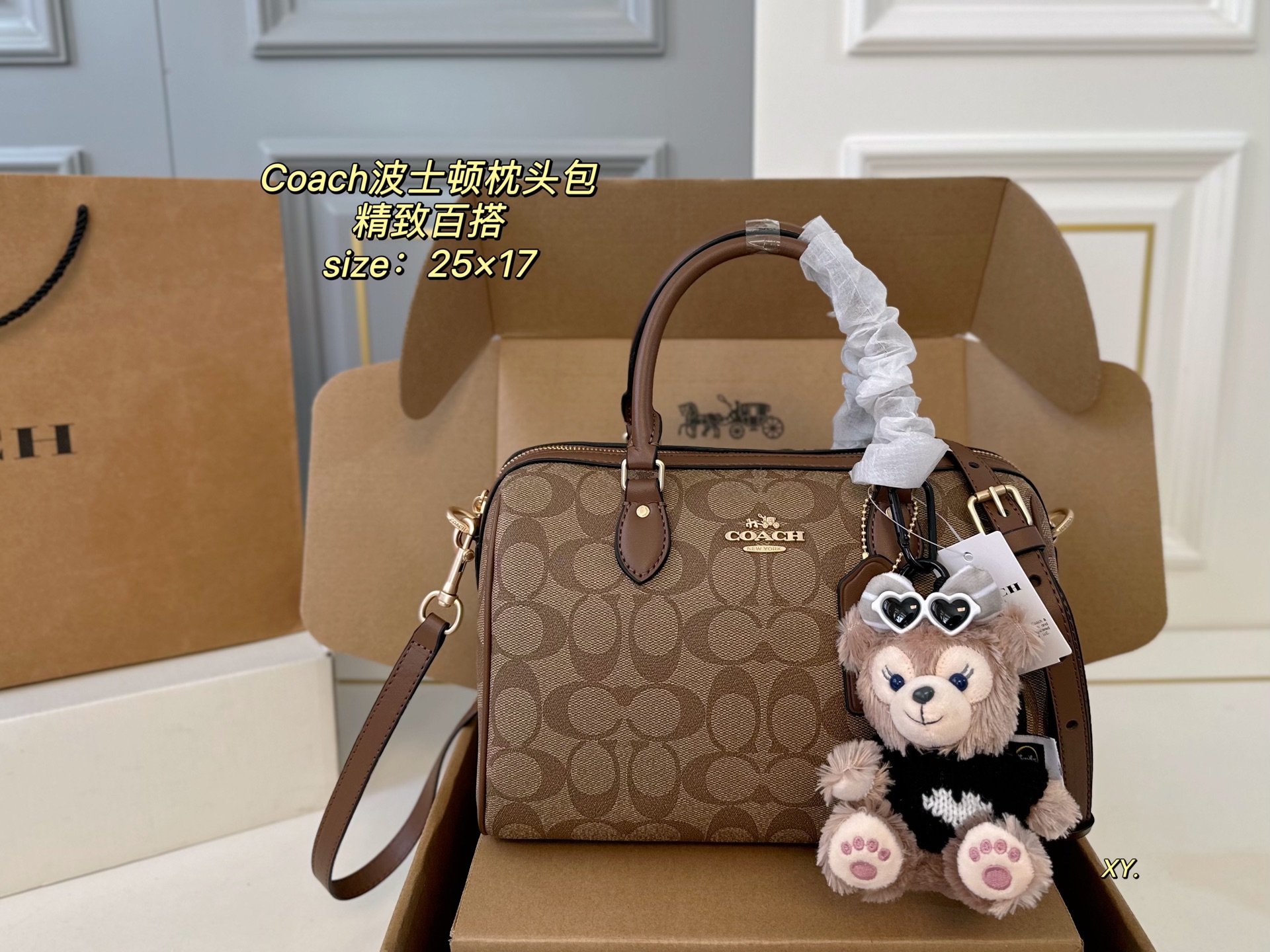 coach bag 209